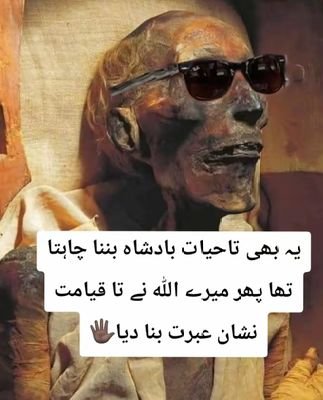 Moon1946Moon's profile picture. 