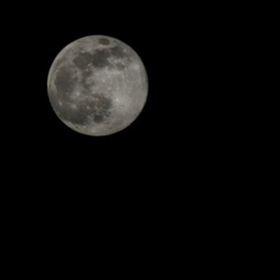 nncctttnn19's profile picture. - INFJ - ×namtanfilm ×*× 9779×