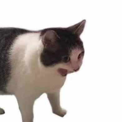 stemkepanjangan's profile picture. Agitprop and Communication Dev Researcher. Wordsmith. Love cycling, Adam Curtis, Jon Bois. Used to write esports. Ruffling feathers on daily basis.