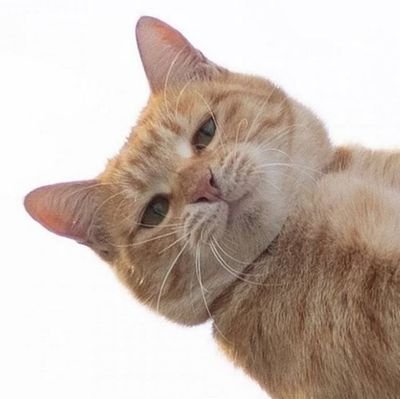 0SiAndika's profile picture. 