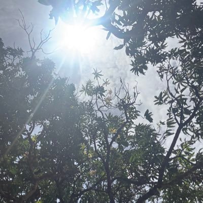 GeorgeJatt6290's profile picture. a poor boy doing his best to take care of his family. Life isn’t easy, but love and responsibility keep me going every day.