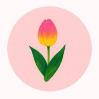 Myan (@msk_tam_myan) 's Twitter Profile Photo