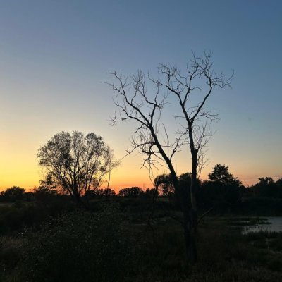 fintoonx's profile picture. 