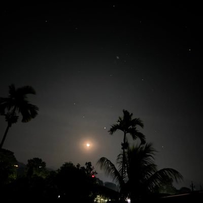 Kinjal_codes's profile picture. 