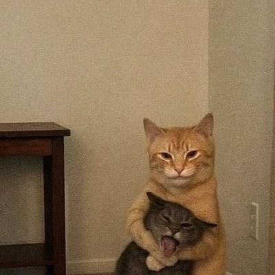 Leoistireddd's profile picture. Model 🥷🫅🦅ll

Good on bed🍽️ ll 7 inches long🪖 ll Dm for ADs and PR🔥  Snapchat:@leo_xharis01