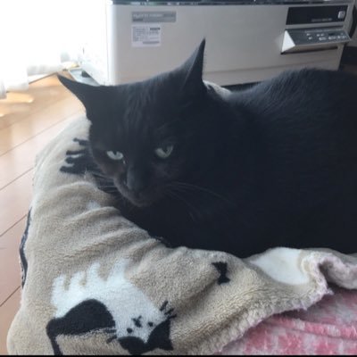 sou07042's profile picture. 