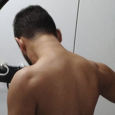 alspontes31's profile picture. 