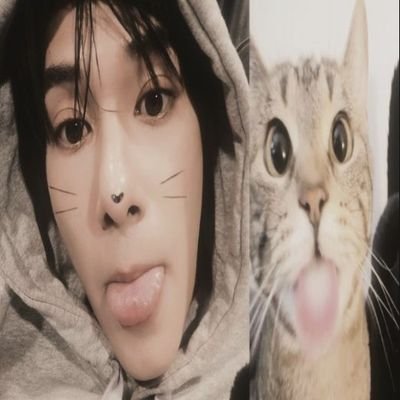 ainthirunkit's profile picture. 𑣲currently living in my little #skynani -shaped universe𐭩