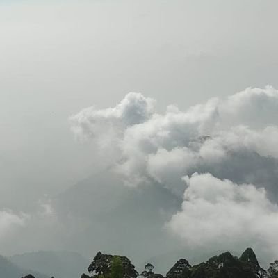 fr_eline's profile picture. 