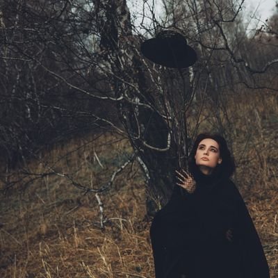 MareTiculica's profile picture. Песник