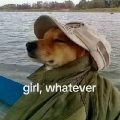 lilywhiffles's profile picture. Alumnus 1.0 @Altschool. Anime.