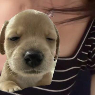 ZMalagisi92853's profile picture. LI NEしてる人お友達なろ〜〜〜