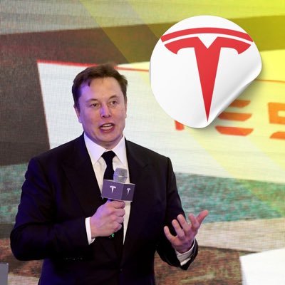 dogetriz's profile picture. 