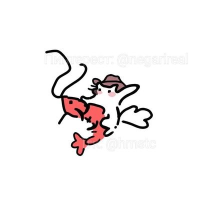 d3cartola's profile picture. 21y          SP            Claramente eu gosto d Homens                                        ENTJ 1w9