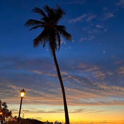 Joyhoyminoy's profile picture. 