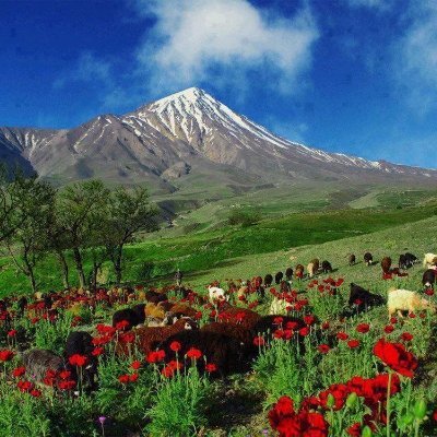 XanaZagros's profile picture. 