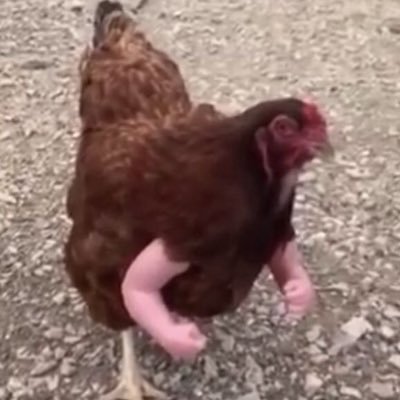 yesorahor's profile picture. ตัวปอม