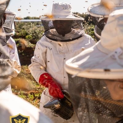 grootman_pheko's profile picture. Entrepreneur  | Development Practitioner | Son of the Most High |
No Life Without Agriculture | Still Paving way to Financial Freedom | 🎓x3