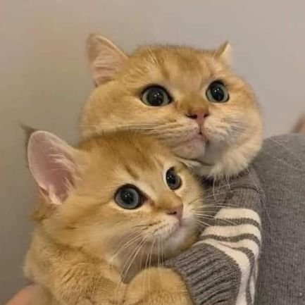 bubududu7788's profile picture. 