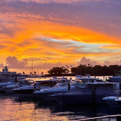 Desiree90738216's profile picture. 