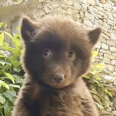 SHIORIM78363's profile picture. #DREAMCATCHER : 
#STRAYKIDS :
#UPPOOMPAT #มาโย #มัมหมีน้องอัพ
#Poompps #หวานร้อย #มัมหมีน้องภูมิ
#Yuni #น้ำมะนาว
แอคเก่าเข้าไม่ได้เพราะลืมรหัส ตูจะบ้า