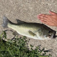 Kaiden Leonard (@kaidenleonard4) 's Twitter Profile