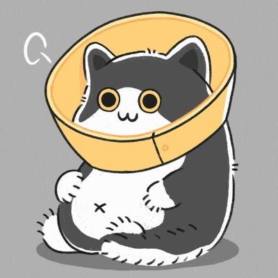 Sharshar888_888's profile picture. #防骗指南/Web3 币圈/钱包不要随意连接网站/定期revoke或者disconnected钱包许可/手写助记词不要截图不要复制