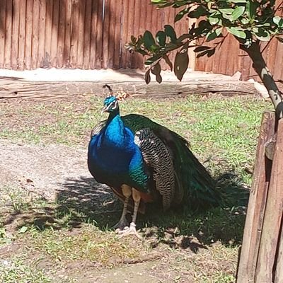 aslikerim45's profile picture. 