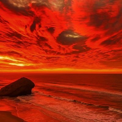 carpediem212704's profile picture. 