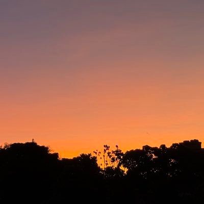 zhubki17175's profile picture. 190，1，75