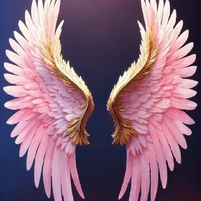 ahmed_m_atta4's profile picture. 