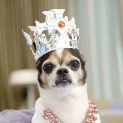 Vipxxid's profile picture. 