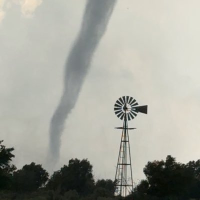 rabbit_stew_'s profile picture. •Storm chaser •Texan 🤠 •Energy drink aficionado •Occasionally wise, occasionally a fool