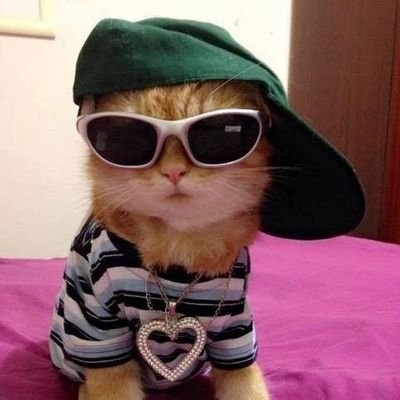 asahisdisciple's profile picture. ㅤㅤੈ♡‧ ⦂ “she waits and takes her time 'cause little miss sunshine always thinks it's gonna rain”. pretty smart & dumb at the same time. i'm aquarius :)