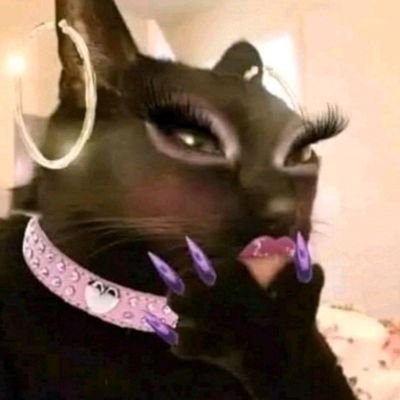 nobi_narie's profile picture. 