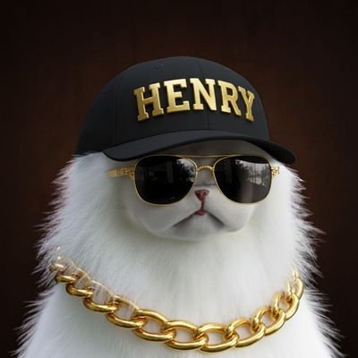 HenryToBSC's profile picture. 关于 wm
他目睹了加密货币领域的混乱，并决定加入其中。如今，White Monkey 已在链上扎根，将疯狂转化为动力，通过 Web3 传播欢笑和 WTF 能量。$WM——混乱中的白色皮毛。
tg: https://t.co/iHIjCwY39W