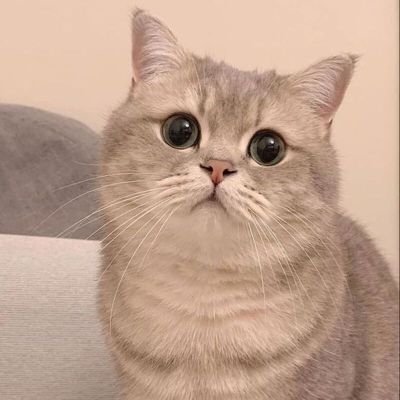 OMo256212829949's profile picture. อยากเเลกงับบ
ขอเเลกความลับน้าา