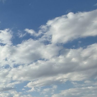 rasyonalizasyon's profile picture. İnsan kendini asla bilemedi.