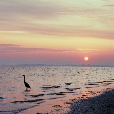 2k7k7's profile picture. ⠀⠀｜碎碎念分享/ 话题投稿/ 树洞吐槽/ 双开门大赛/ 商务合作请私信/ 福利姬投稿 给大流量⠀⠀⠀⠀⠀⠀⠀⠀⠀⠀⠀ ⠀⠀⠀  ⠀⠀⠀⠀⠀⠀⠀⠀⠀⠀⠀ ⠀ ⠀ ⠀⠀⠀⠀⠀⠀⠀⠀⠀⠀⠀⠀⠀⠀⠀⠀⠀⠀⠀⠀⠀⠀⠀⠀⠀⠀⠀⠀⠀  ⠀⠀⠀⠀⠀⠀⠀⠀⠀⠀⠀⠀⠀⠀⠀⠀⠀⠀⠀⠀⠀⠀
⠀⠀⠀⠀⠀⠀⠀⠀⠀⠀⠀⠀⠀⠀⠀⠀⠀