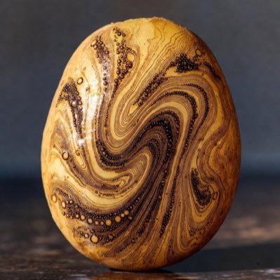 qpotatocoin's profile picture. 