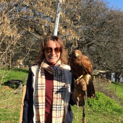 Tracy Petrillo Profile