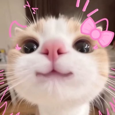 cceramides's profile picture. yapping