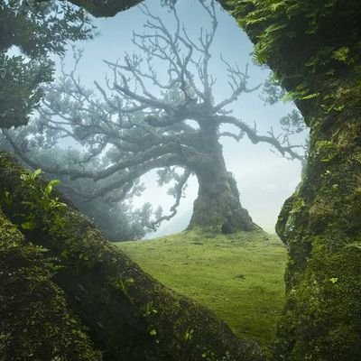 WRtff59430's profile picture. Love seeing real innovation, not hype 🔥 Keep going $SYND