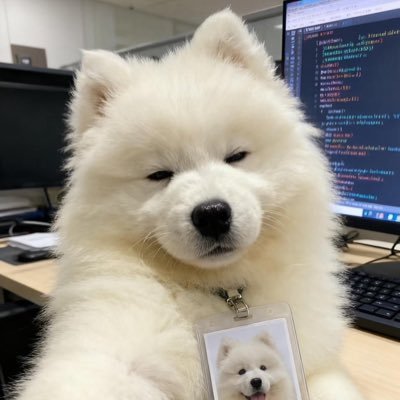 Praewxelsa's profile picture. 🦴 ⑅ 🪦🕳⛏ *:･ﾟ #แพรวให้คนน่ารักค้าบ #หยอดกาปุกกับแพรว #แพรวก็ปั่นได้แหละมั้ง 🫙 *:･ﾟ💀𓈊 🏁