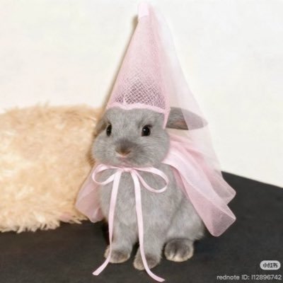 wasabeeez's profile picture. yapper