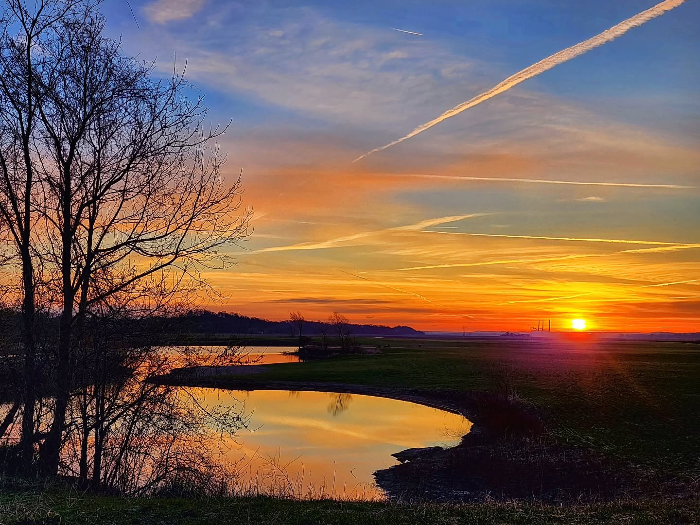 koko983296's profile picture. 推特营销软件TG客服：https://t.co/Gf1nX4OKQ6自助下单机：https://t.co/11RLy5J2Hr