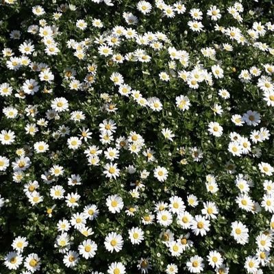 Immafia_53's profile picture. อยากรวยยย!🫠