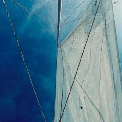 halin1986's profile picture. Lever på skorpor och choklad. maratonambitioner. trött på vänsteraktivism