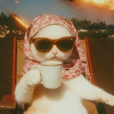 renklensinT's profile picture. we start again