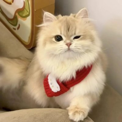 WanderWhimsy_A's profile picture. Smiles, adventures, and iced coffee kind of girl ☕️
Living my best life, one day at a time 🌸